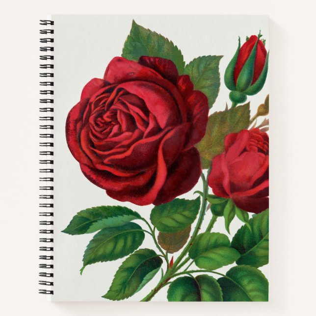 Large Rose Bullet Journal (Front)