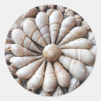 Large Round Artistic Seashell Stickers