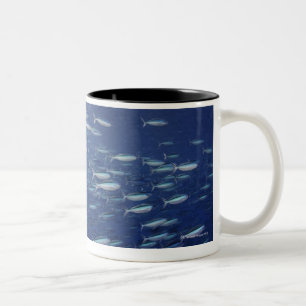 Large school of bluestreak fusiliers Two-Tone coffee mug