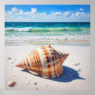 Large Seashell on a Pristine Sandy Beach Poster