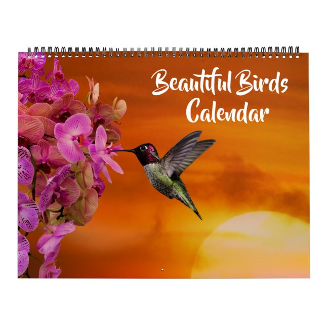 Large Size Beautiful Birds Calendar (Cover)