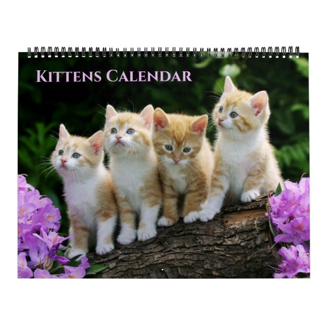 Large Size Kittens Calendar (Cover)
