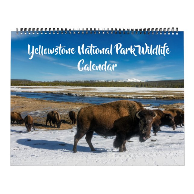 Large Size Yellowstone Calendar-Wildlife Calendar (Cover)