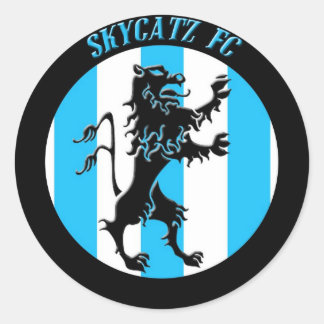 Large Skycatz Sticker