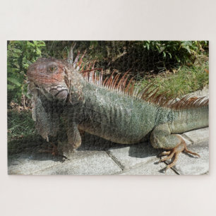 Large South American Lizard Iguana Photo Designed Jigsaw Puzzle