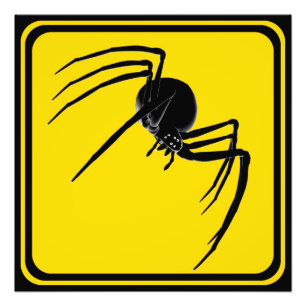 Large Spider Crossing! Photo Print