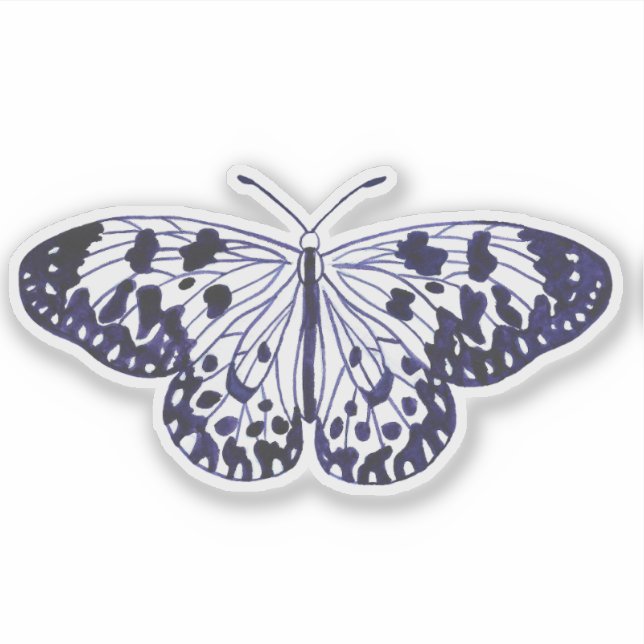 Large Tree Nymph Butterfly (Front)