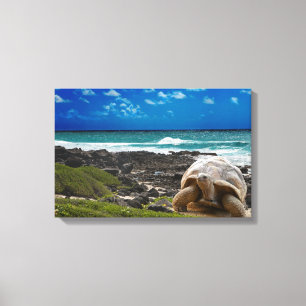 Large turtle at the sea edge canvas print