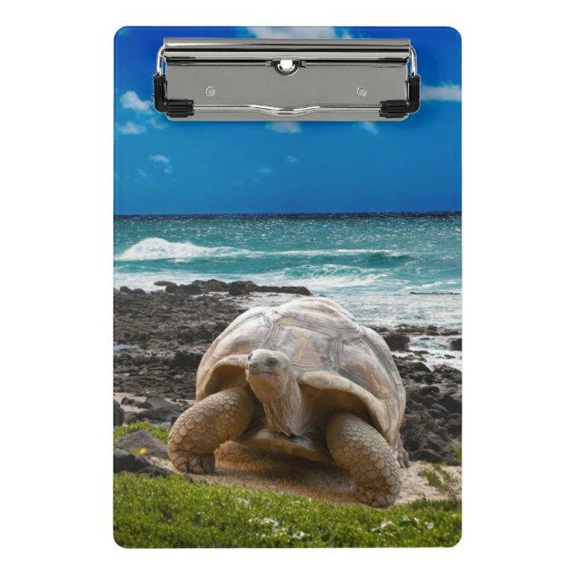 Large turtle at the sea edge mini clipboard (Front)
