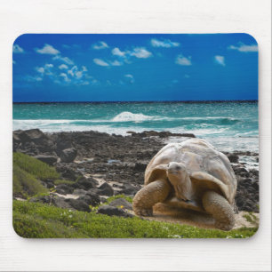 Large turtle at the sea edge mouse mat