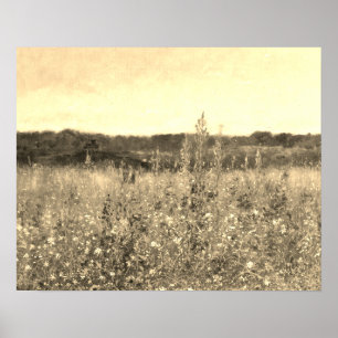 Large Vintage Botanical Gold Field Floral Greenery Poster