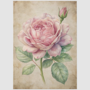 Large Vintage Inspired Pink Rose Decoupage Tissue Paper