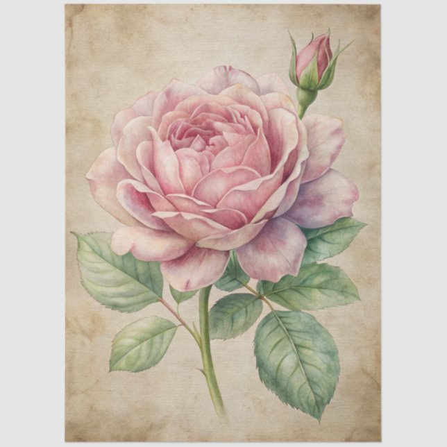 Large Vintage Inspired Pink Rose Decoupage Tissue Paper (Front)