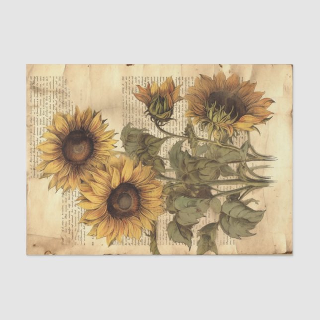 Large Vintage Sunflowers on Script Tissue Paper (Front)