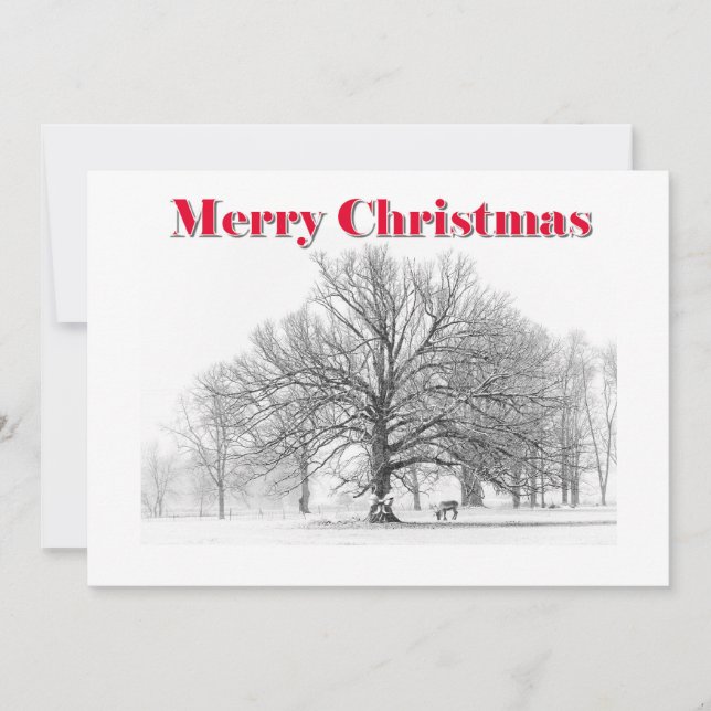 Large Winter Scene Christmas Card White Bow (Flat) (Front)