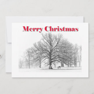 Large Winter Scene Christmas Card White Bow (Flat)