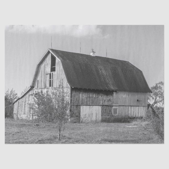 Large Wood Barn in Black and White Tissue Paper (Front)