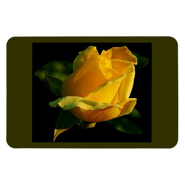 Large Yellow Rose Magnet (Horizontal)