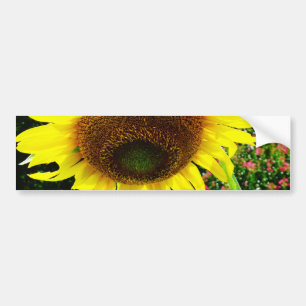 Large yellow Sunflower Bumper Sticker
