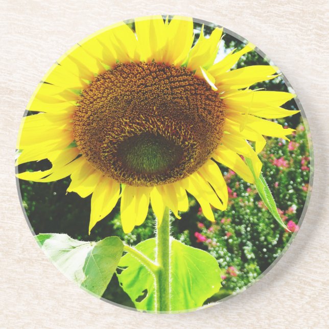 Large yellow Sunflower Coaster (Front)