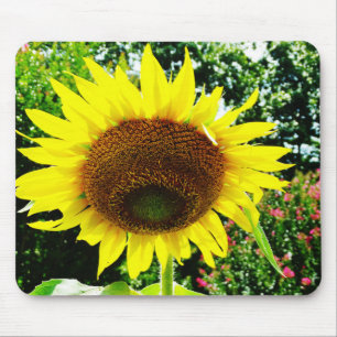 Large yellow Sunflower Mouse Mat