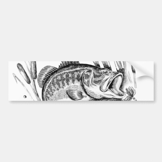Largemouth bass bumper sticker (Front)