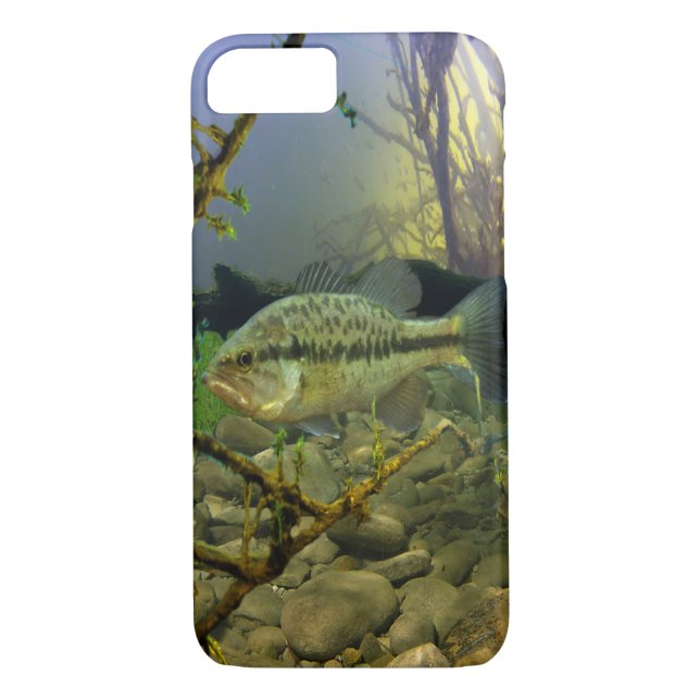 Largemouth Bass Case-Mate iPhone Case (Back)