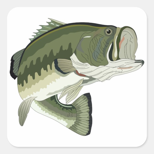 LARGEMOUTH BASS SQUARE STICKER (Front)
