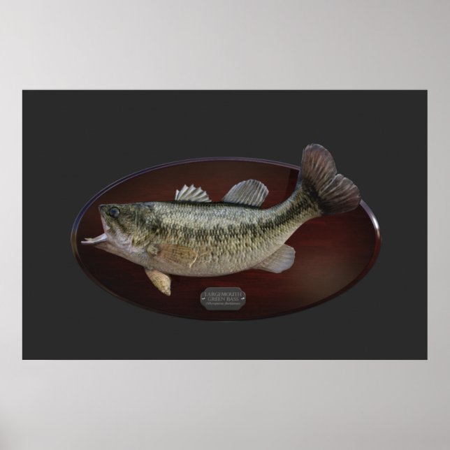 Largemouth Green Bass Trophy Plaque Poster (Front)