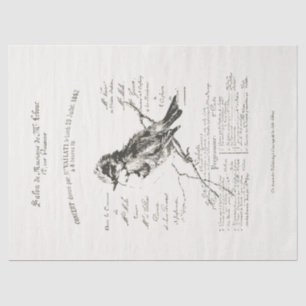 Larger French Music Salon Bird Script Tissue Paper