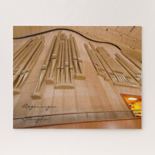 Largest organ in China puzzle