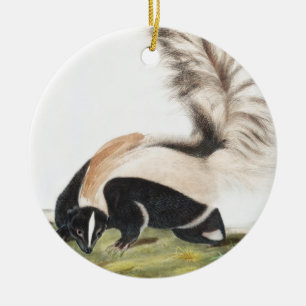 LargeTailed Skunk Mephitis macroura Illustration Ceramic Tree Decoration