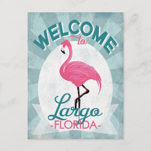 Largo Florida Pink Flamingo Retro Postcard (Front)
