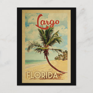 Largo Palm Tree Vintage Travel Postcard