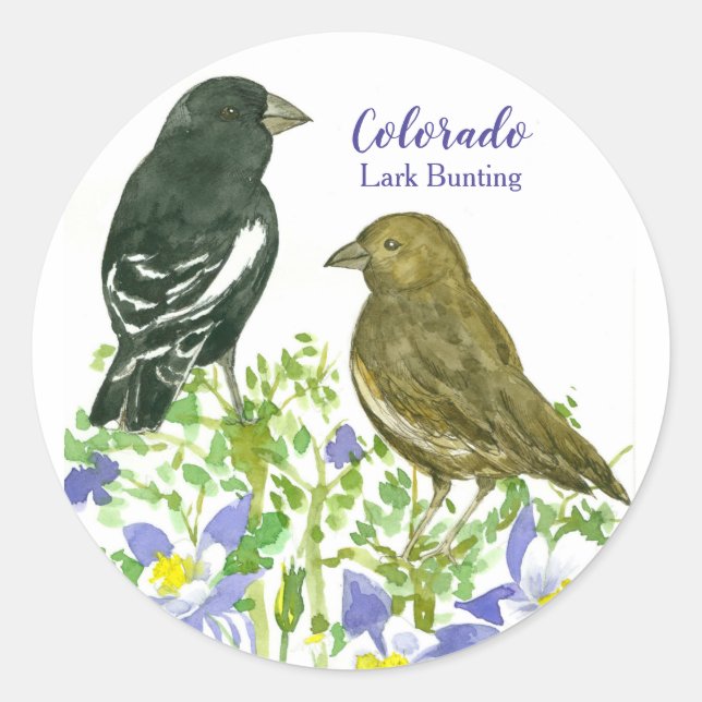 Lark Bunting Birds Colorado Columbine Classic Round Sticker (Front)