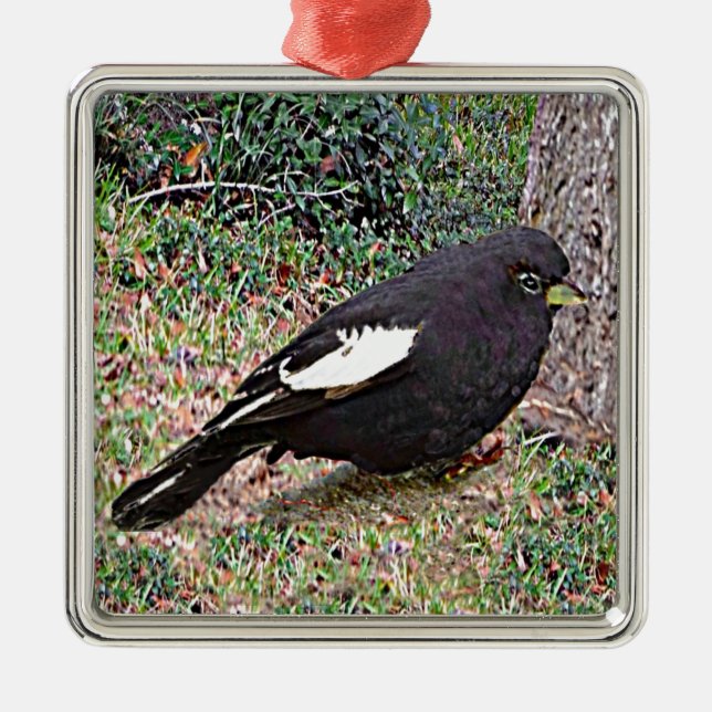 Lark Bunting (Colorado) Metal Tree Decoration (Front)