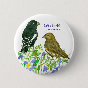 Lark Bunting Sparrow Birds Colorado Columbine 6 Cm Round Badge