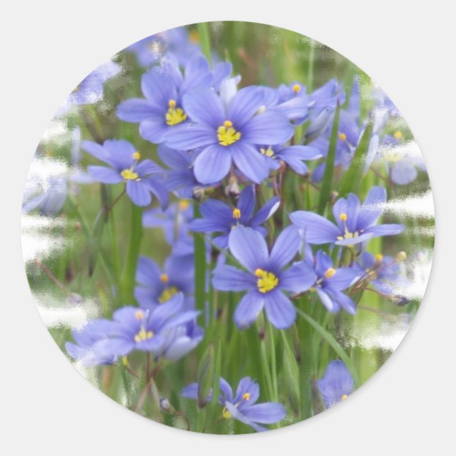 Larkspurs Classic Round Sticker (Front)