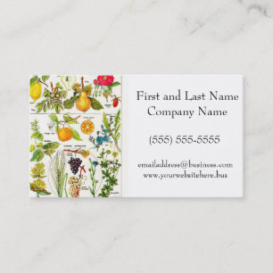 Larousse Fruit Orange Pear Grape Painting Business Card