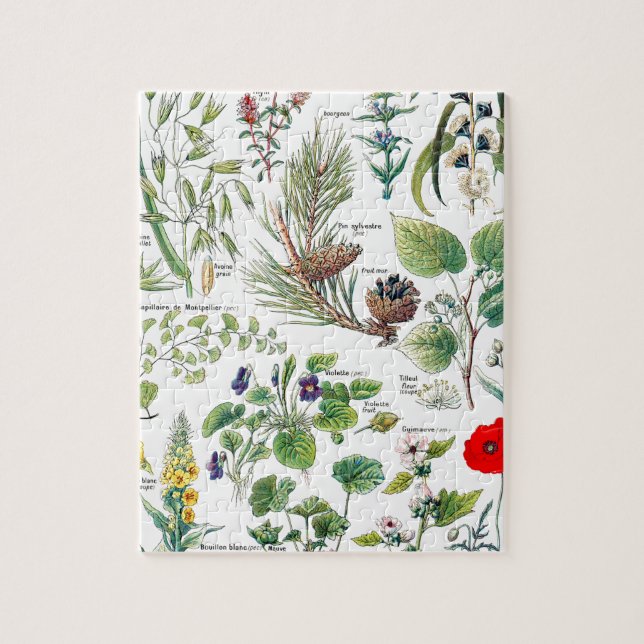Larousse Plants calmantes,emollientes,pectorales Jigsaw Puzzle (Vertical)