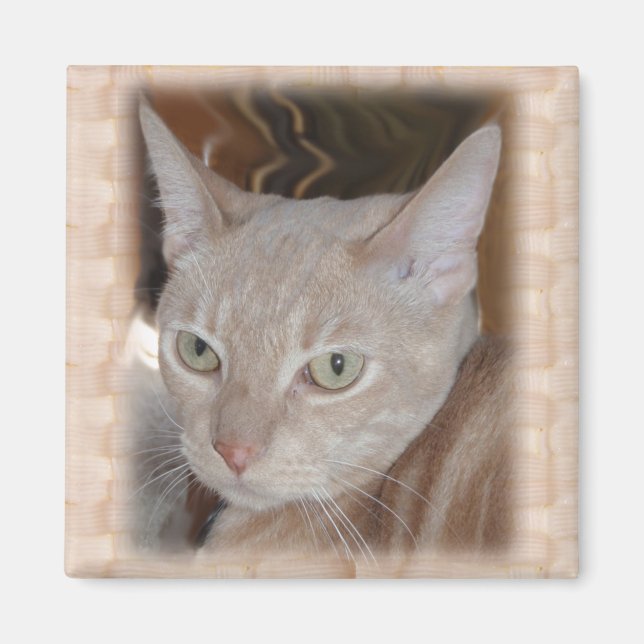 Larry Grandkitty Magnet (Front)