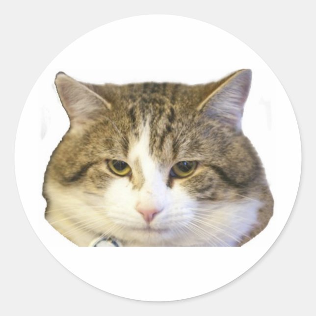 Larry the Downing Street Cat Face Classic Round Sticker (Front)