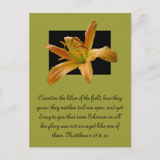 Larry's Orange Lily Postcard