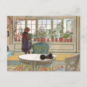 Larsson: Flowers on the Windowsill Postcard