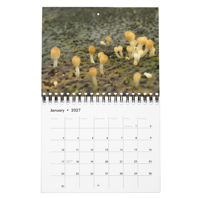 Las Encantadas Calendar (Jan 2027)