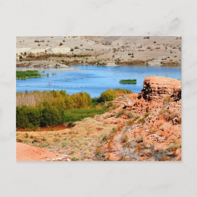 Las Vegas Bay, Lake Mead, Nevada  Postcard (Front)