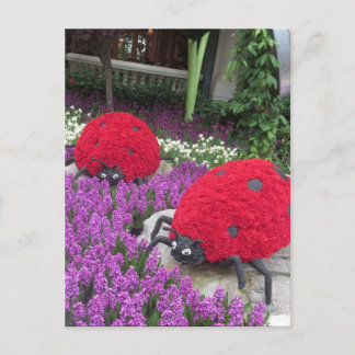 Las Vegas Butterfly Garden Flower Ladybug UNIQUE G Postcard