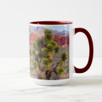 Las Vegas : Red Rock Canyon , Nevada