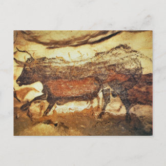 Lascaux Prehistoric cave paintings Postcard
