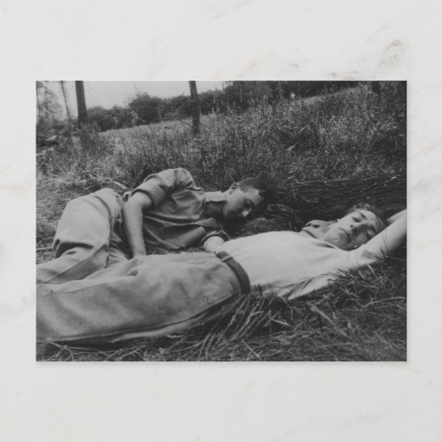Lascivious young male couple napping gay interest postcard (Front)